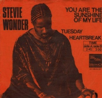 Stevie Wonder